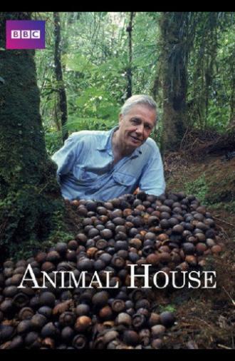 Animal House (2011)