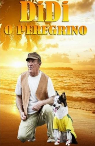 Didi, o Peregrino (2013)
