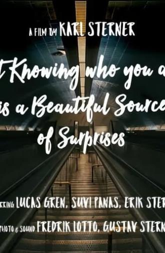 Not knowing who you are is a beautiful source of surprises (2016)