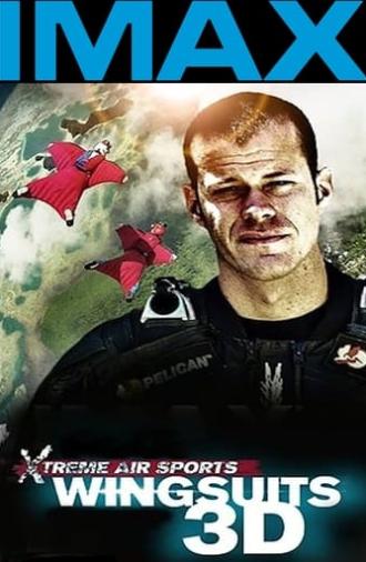 Wingsuit Warrior (2013)