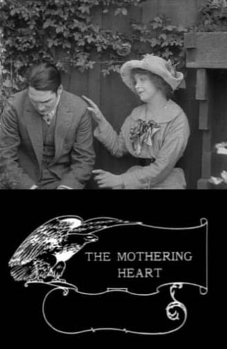 The Mothering Heart (1913)