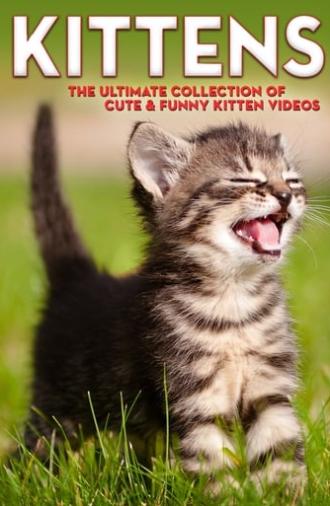 Kittens The Ultimate Collection of Cute & Funny Kitten Videos (2006)