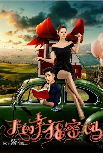 我的幸福密码 (2017)