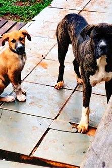 Almas Silenciosas (2023)