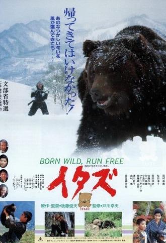 The Forest of the Little Bear (1987)