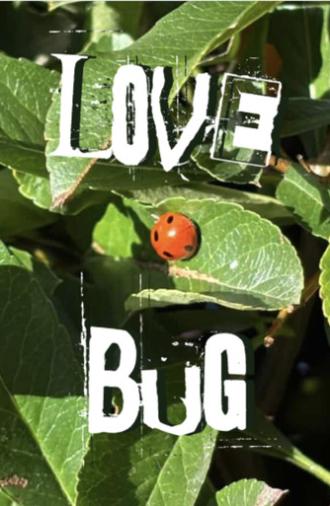Lovebug (2026)