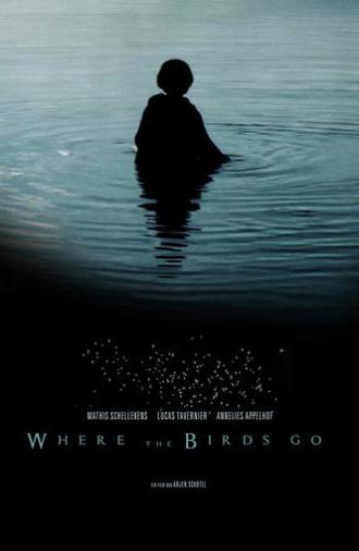 Where the birds go (2019)