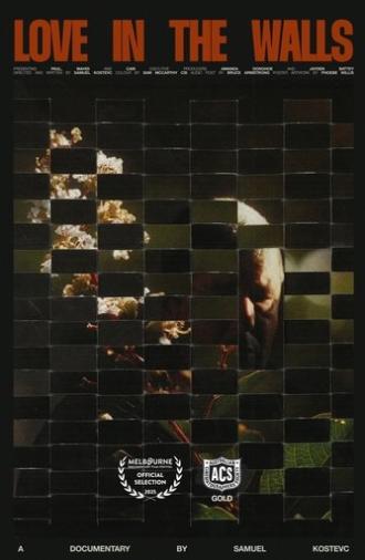 Love in the Walls (2025)