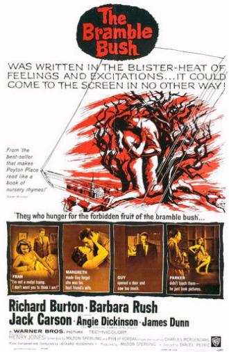 The Bramble Bush (1960)