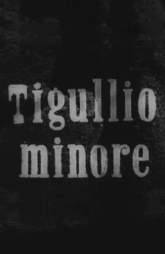 Tigullio minore (1947)