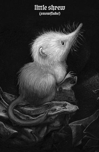 Little Shrew (Snowflake) (2025)