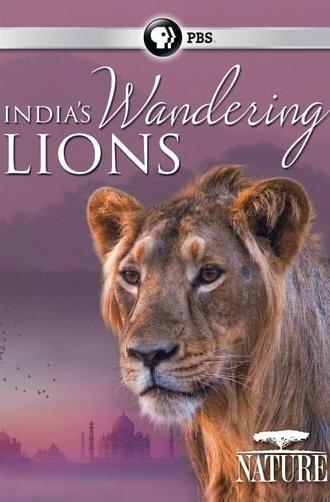 India's Wandering Lions (2016)