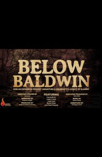 Below Baldwin: How an Expansion Project Unearthed a University's Legacy of Slavery (2019)