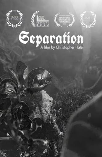 Separation (2022)