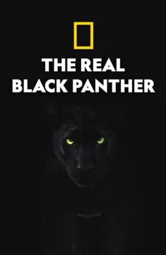 The Real Black Panther (2020)