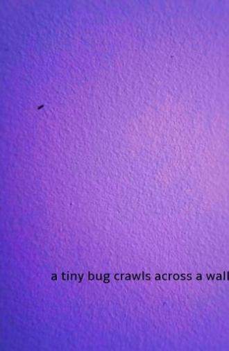 a tiny bug crawls across a wall (2024)