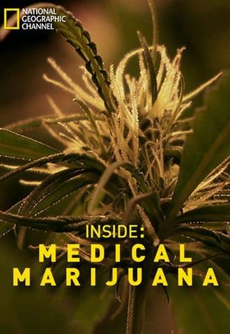 Inside: Medical Marijuana (2011)