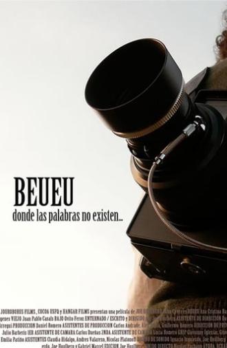 BEUEU (2010)