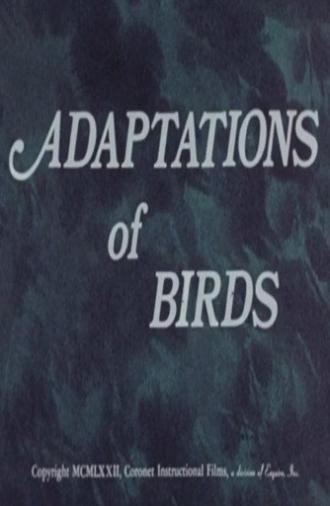 Adaptations of Birds (1972)