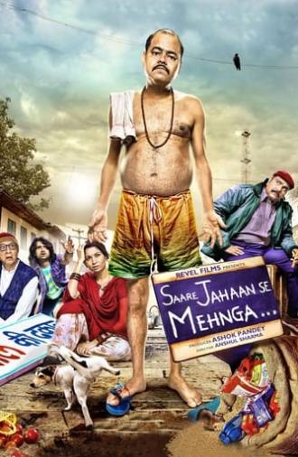 Saare Jahaan Se Mehnga (2013)