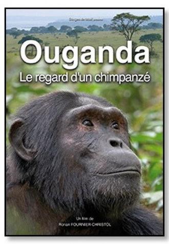 Ouganda, le regard d'un chimpanzé (2019)