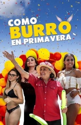 Como burro en primavera (2018)