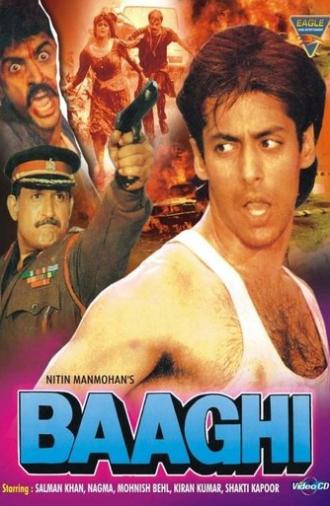Baaghi: A Rebel for Love (1990)