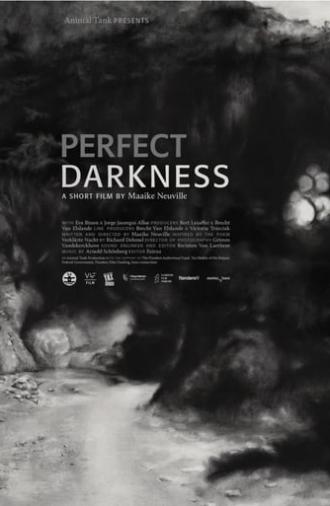 Perfect Darkness (2016)