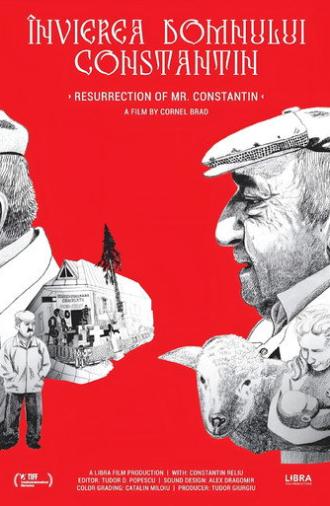 Resurrection of Mr. Constantin (2019)