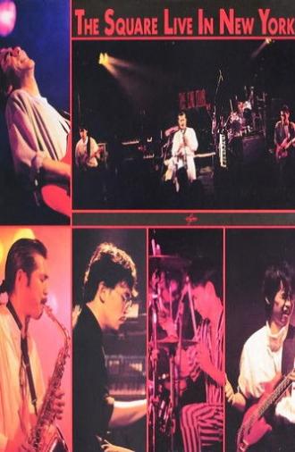 The Square Live In New York (1988)
