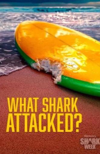 What Shark Attacked? (2026)