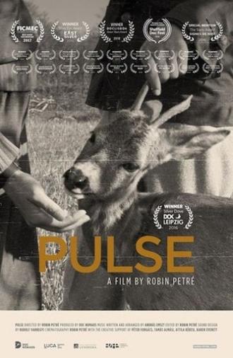Pulse (2016)