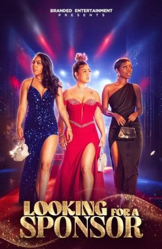 Looking for a Sponsor (2025)