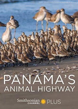 Panama's Animal Highway (2017)