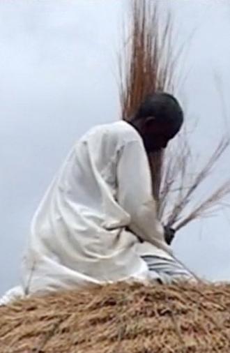 Diyam Wala: Water and Life in Kalfou Cameroon (2012)