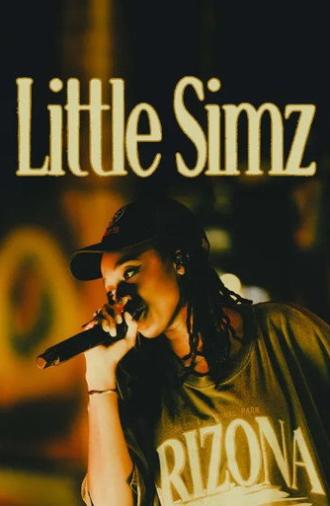 Little Simz at the Atelier des Lumières (2025)