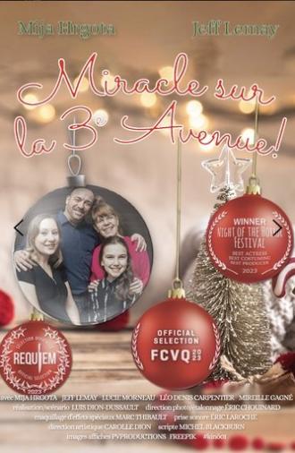 Miracle on 3rd Avenue! (2023)