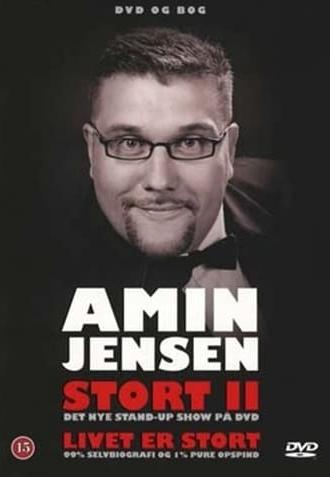 Amin Jensen: Stort II (2008)