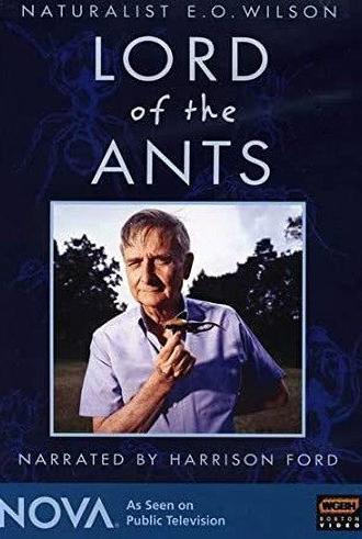 Lord of the Ants (2008)