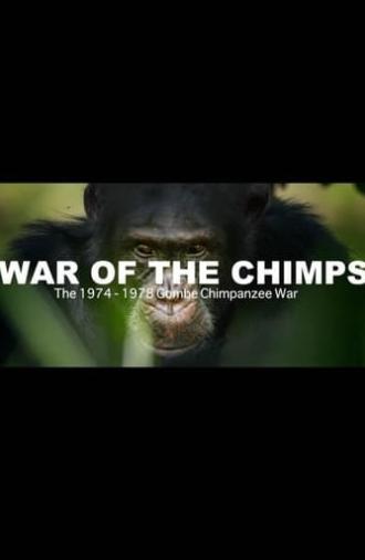 World War Chimp | The Brutal 1974 - 1978 Gombe Chimpanzee War: Documentary (2019)