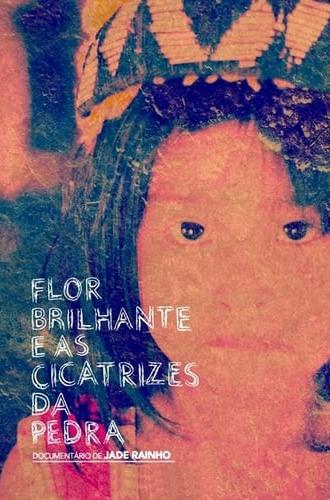 Flor Brilhante e as Cicatrizes da Pedra (2013)