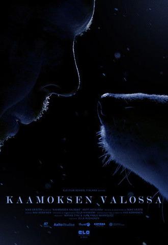 Polar Night Light (2022)