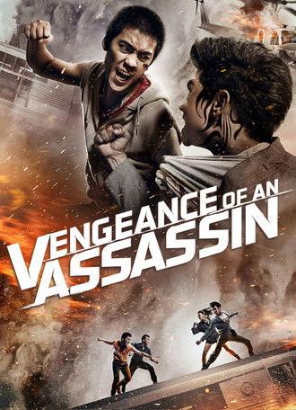 Vengeance of an Assassin (2014)