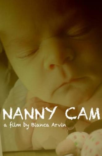 Nanny Cam (2017)