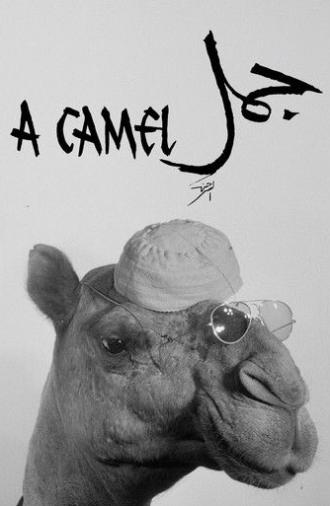 A Camel (1981)