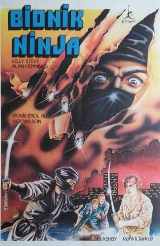 Ninja Assassins (1985)