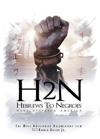 Hebrews to Negroes: Wake Up Black America (2018)