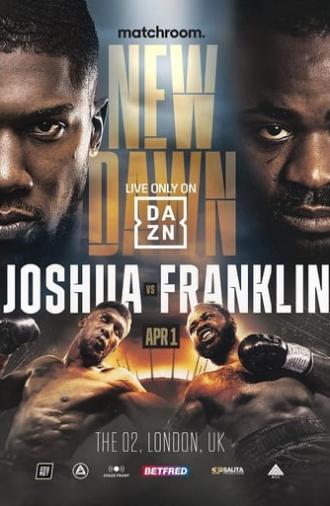 Anthony Joshua vs. Jermaine Franklin (2023)