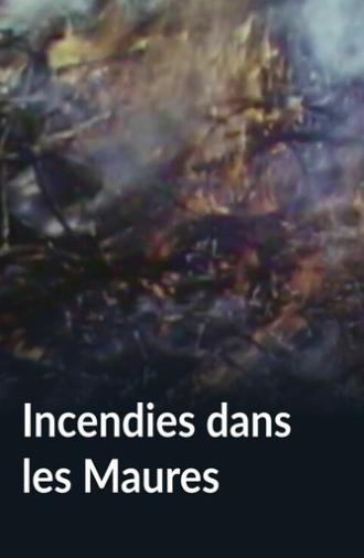 Incendies dans les Maures (1970)