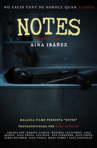 Notes (2026)